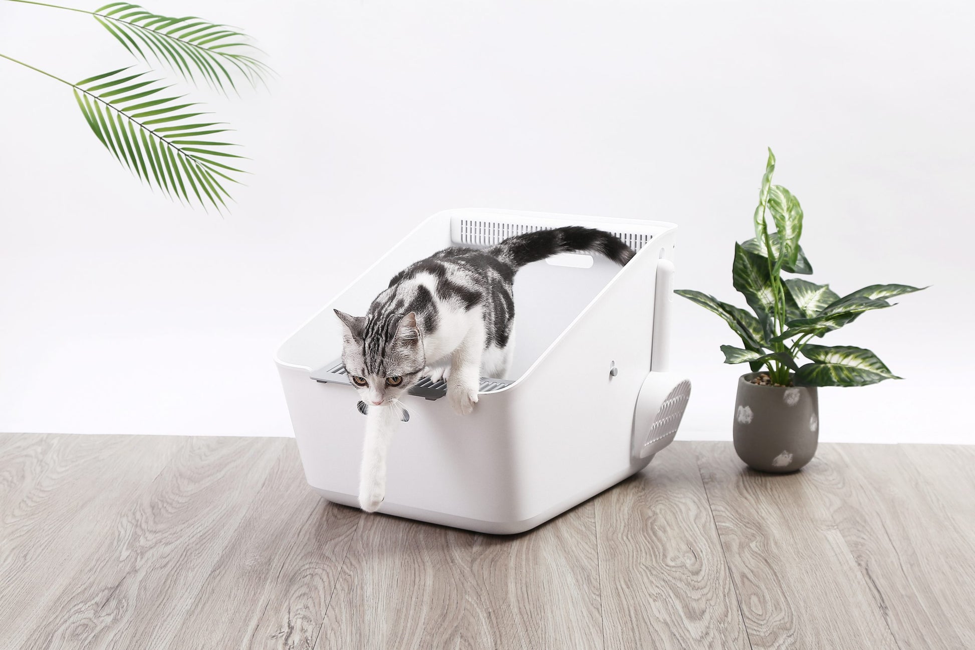 PETKIT Pura Cat Litter Box Pet Care > Cleaning & Maintenance > Pet Cleaning Supplies Woofy and Whiskers