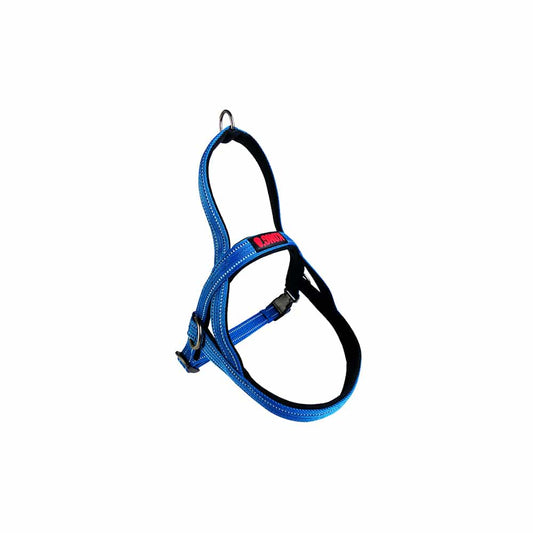 KONG Norwegian Blue Harness Large Fashion > Men's Fashion > Men's Hats & Caps kong