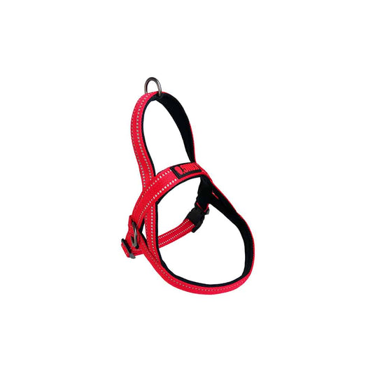 KONG Norwegian Red Harness Large Pet Care > Dog Supplies > Dog Collars, Leads & Harnesses Woofy and Whiskers