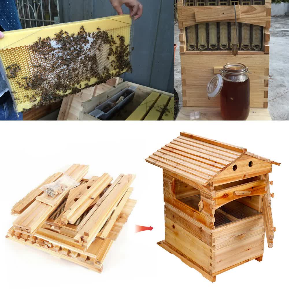 Wooden-Beekeeping-Beehive-House-+7PCS-Upgraded-Auto-Honey-Bee-comb-Hive-Frame Pet Care > Farm Supplies > Beekeeping Rooster Farm