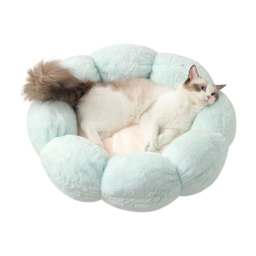 LIFEBEA Anti Skid Cute Cat Bed for Cats and Small Dogs-Light Green-L Pet Care > Cat Supplies > Cat Furniture Woofy and Whiskers