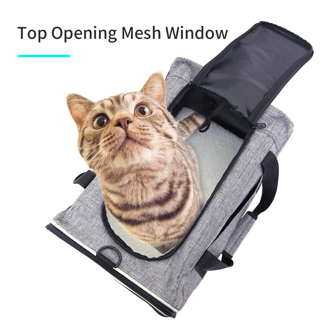 Ondoing Foldable Pet Carrier Bag Cat Dog Soft Crate Cage Kennel Tent Travel Portable Car Pet Care > Cat Supplies > Cat Carriers & Crates Woofy and Whiskers