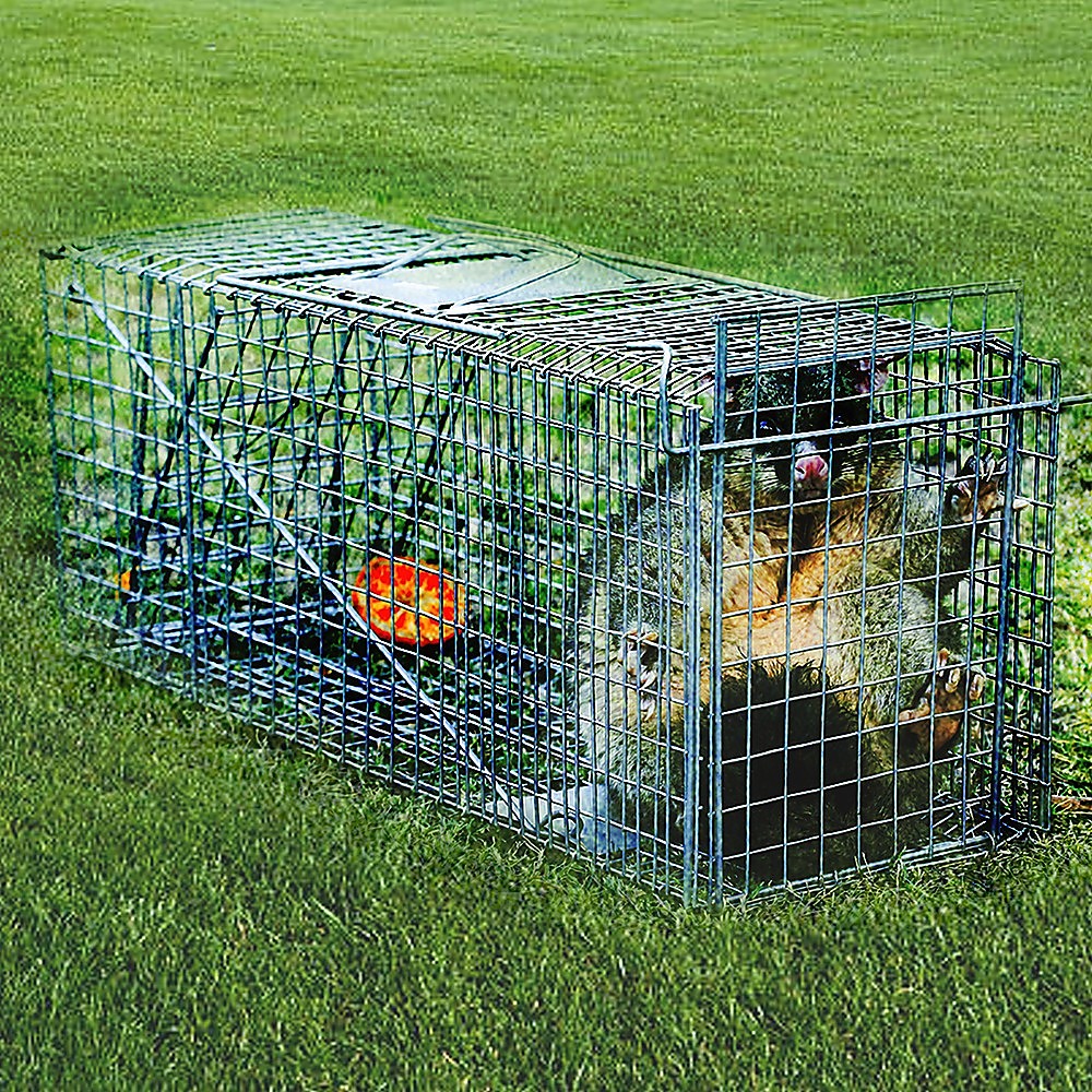 Trap Humane Possum Cage Live Animal Safe Catch Rabbit Cat Hare Fox Bird Pet Care > Cleaning & Maintenance > Pet Grooming Supplies YES4PETS