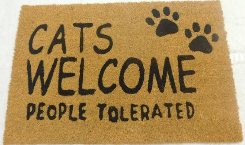 Cats Welcome People Tolerated Doormat 60x40cm Pet Care > Cat Supplies > Cat Scratching Posts Woofy and Whiskers