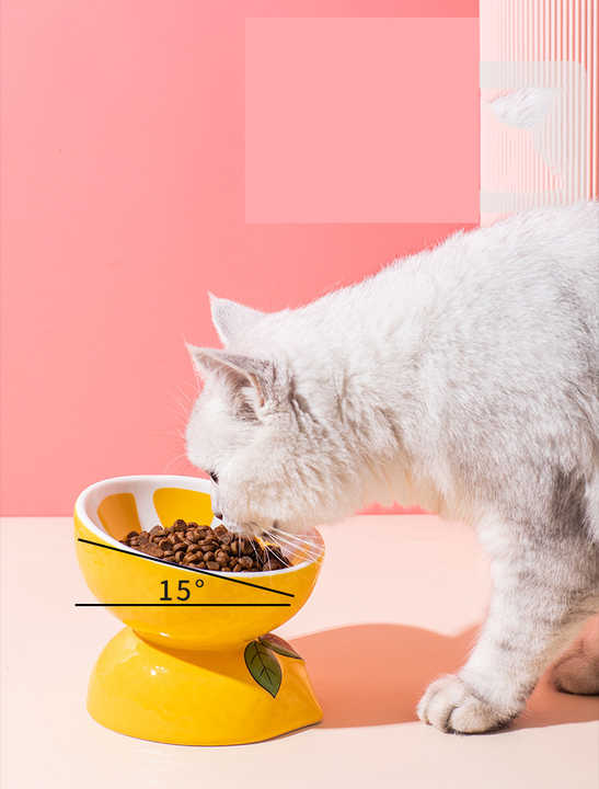 Ceramic Elevated Pet Food Bowl - Cute Lemon Pattern Design for Cats and Small Dogs Pet Care > Cat Supplies > Cat Bowls, Feeders & Waterers Woofy and Whiskers