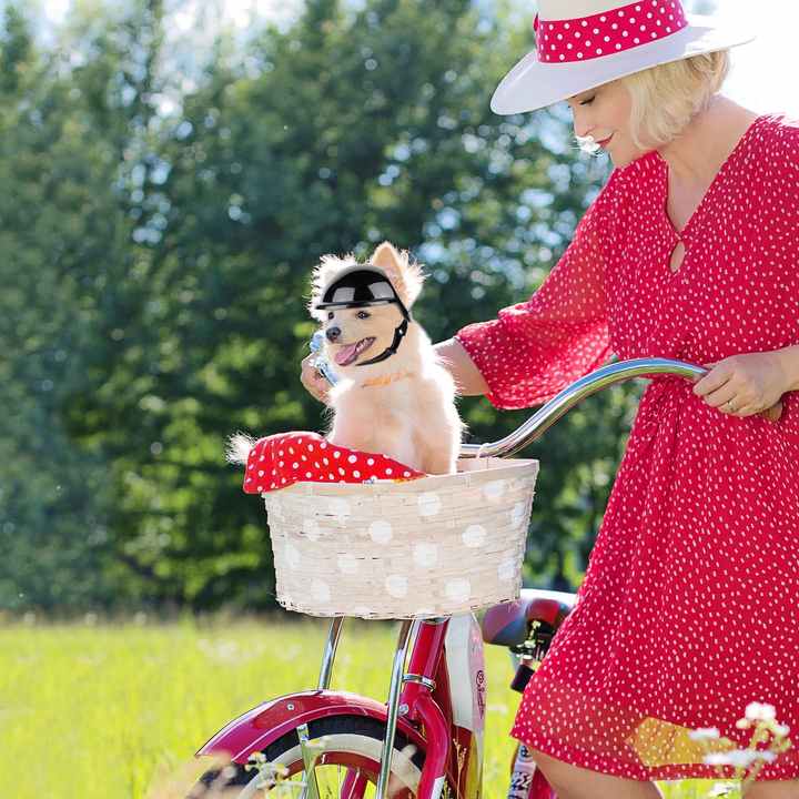 Size L Black Pet Safety Helmet - Stylish Protective Headgear for Dogs Pet Care > Dog Supplies > Dog Training Aids Woofy and Whiskers