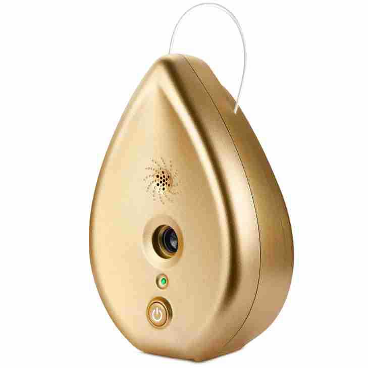 Automatic Ultrasonic Dog Bark Deterrent - Up to 50ft Range, Safe Frequency Conversion, Indoor Use(gold) Pet Care > Dog Supplies > Dog Training Aids Woofy and Whiskers
