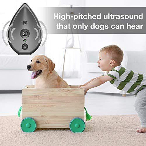 Automatic Ultrasonic Dog Bark Deterrent - Up to 50ft Range, Safe Frequency Conversion, Indoor Use(gold) Pet Care > Dog Supplies > Dog Training Aids Woofy and Whiskers