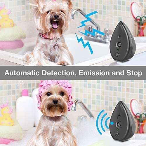 Automatic Ultrasonic Dog Bark Deterrent - Up to 50ft Range, Safe Frequency Conversion, Indoor Use(gold) Pet Care > Dog Supplies > Dog Training Aids Woofy and Whiskers