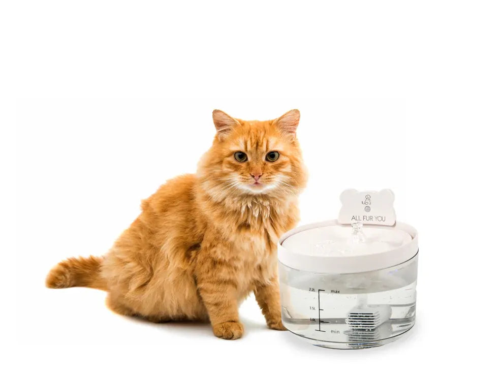 All Fur You Auto Sensor Water Fountain Usb