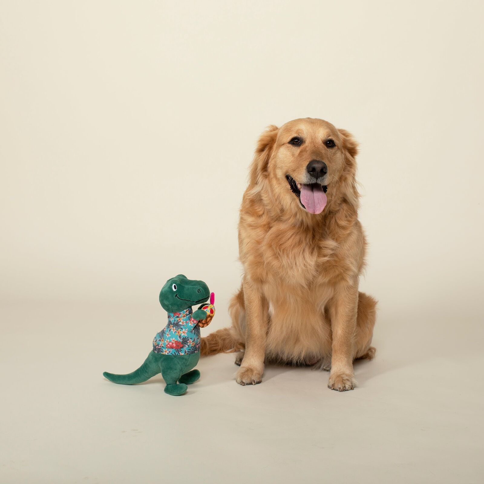 Fringe Studio It's 5 O'Clock Somewhere Interactive Play Plush Dog Squeaker Toy Woofy and Whiskers