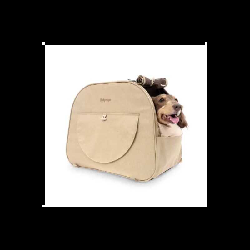 Dog peeking out of a beige pet carrier with a white background
