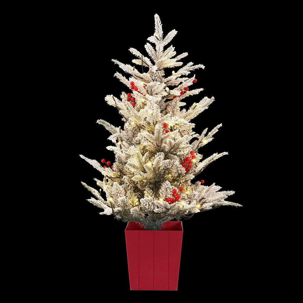 Jingle Jollys Christmas Tree 1M LED Potted Xmas Party Decor Red Barries Flocked Occasions > Christmas > Christmas Trees Woofy and Whiskers
