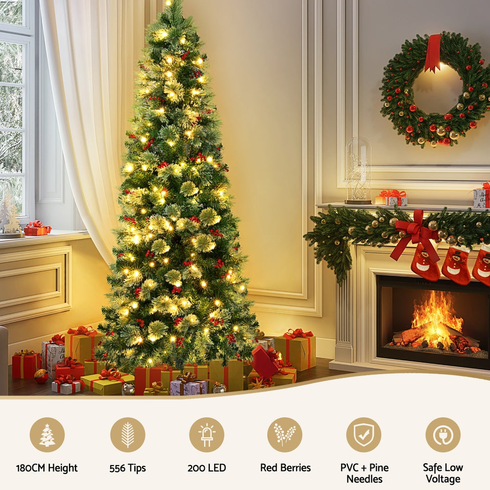 Jingle Jollys Christmas Tree 1.8M LED Xmas Tree Party Decorations Red Barries Occasions > Christmas > Christmas Trees Woofy and Whiskers