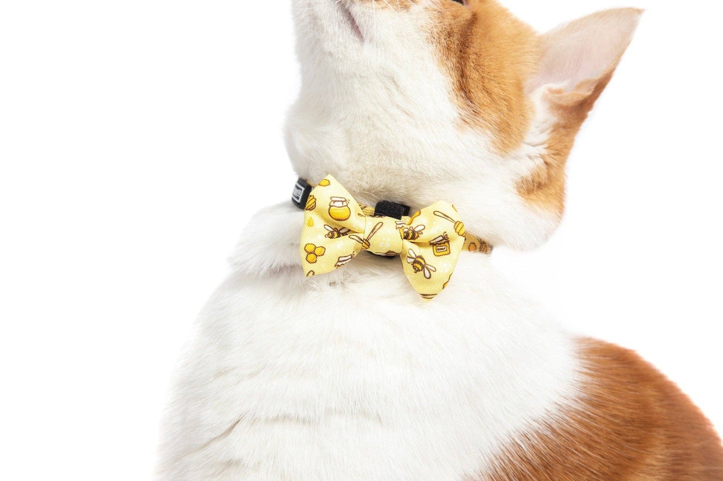 Little Kitty Co CAT COLLAR & BOW TIE: Bee-Hiving Little Kitty Co.