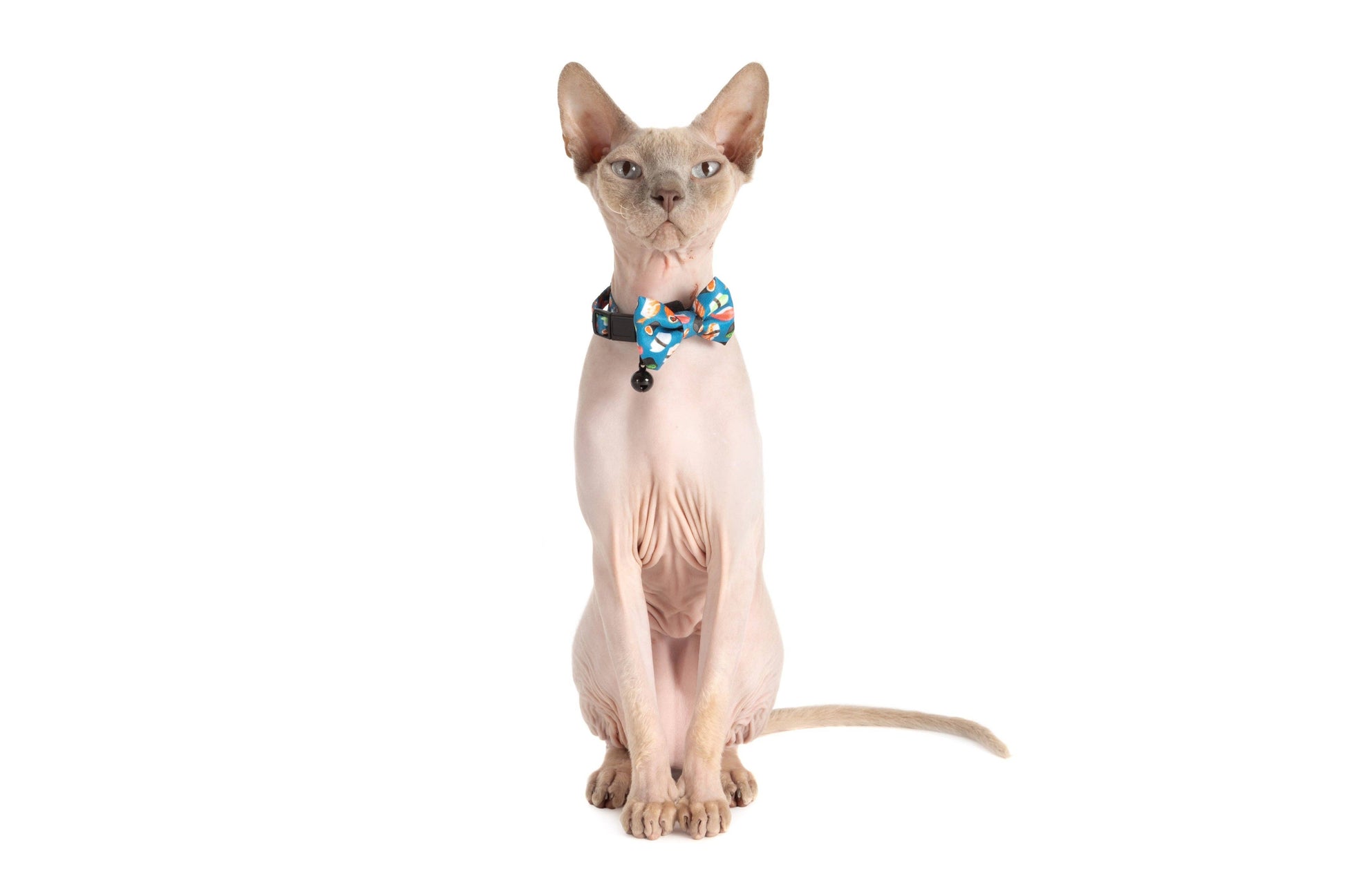 CAT COLLAR & BOW TIE: Sushi Makes Miso Happy Little Kitty Co.