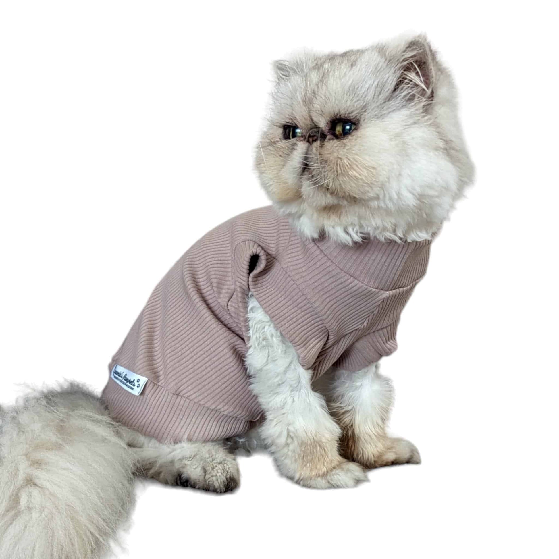 Cosy Feline Rib Knit Jumper - Mocha Queenie's Pawprints