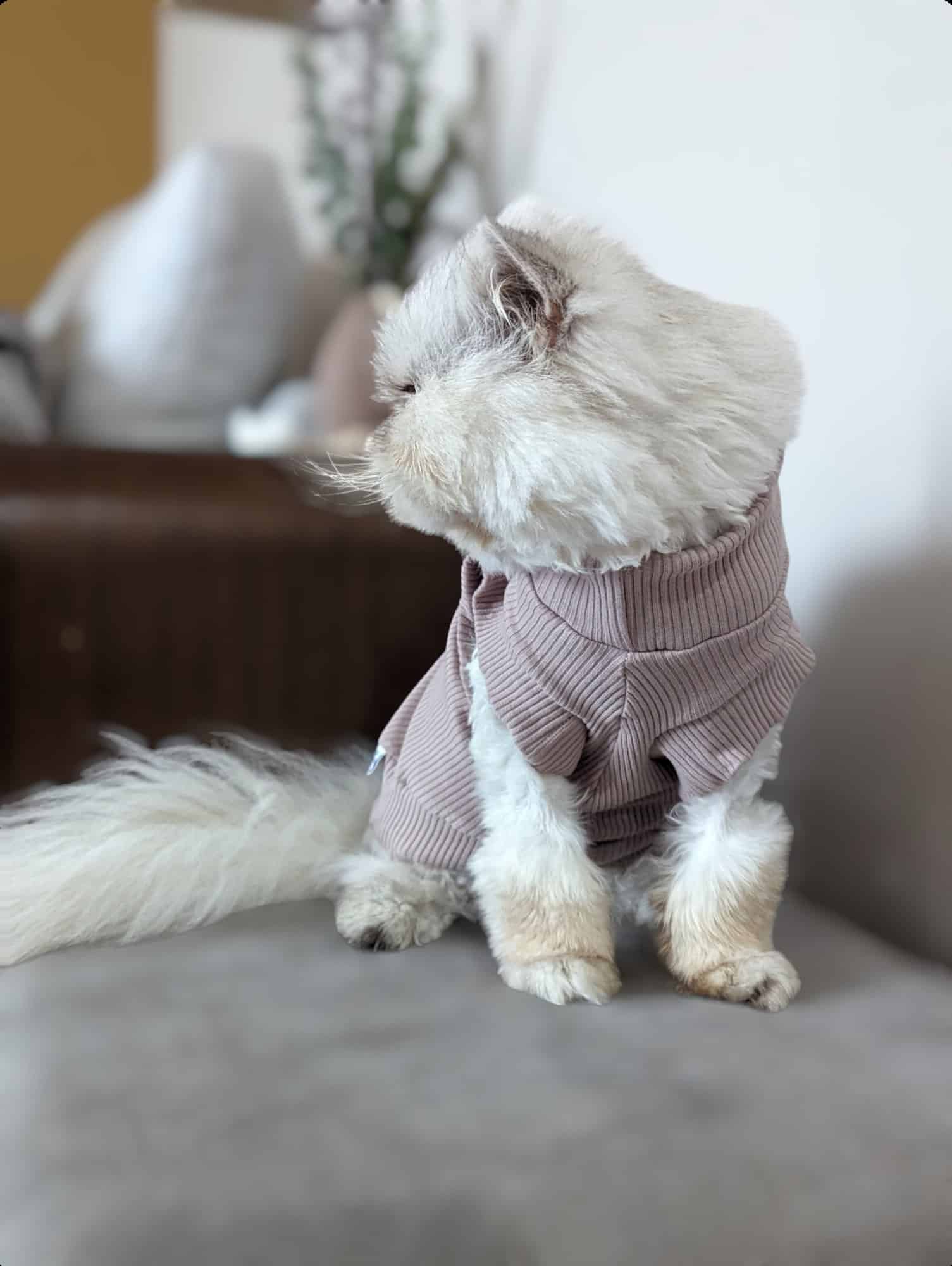Cosy Feline Rib Knit Jumper - Mocha Queenie's Pawprints
