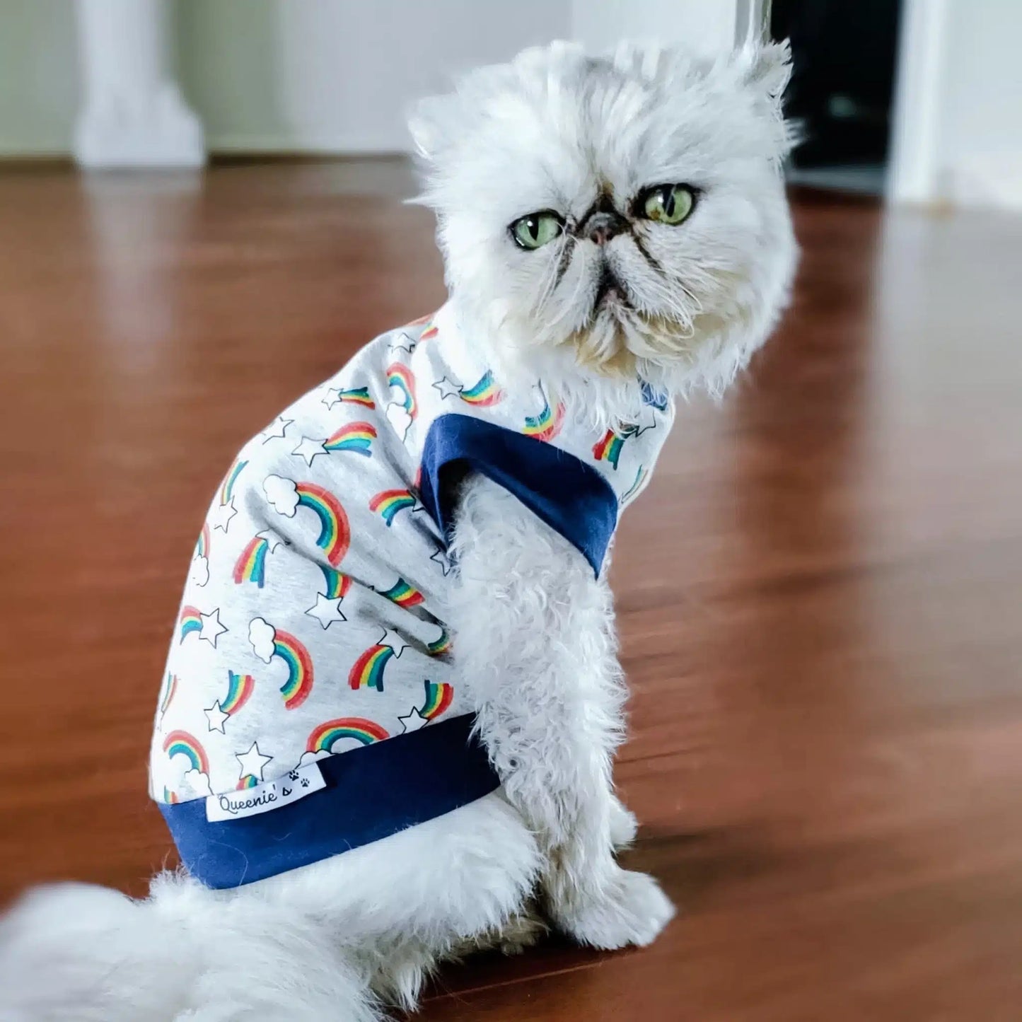 Queenie's Pawprints Cat Jumper - Navy Rainbow cat clothing Queenie's pawprints