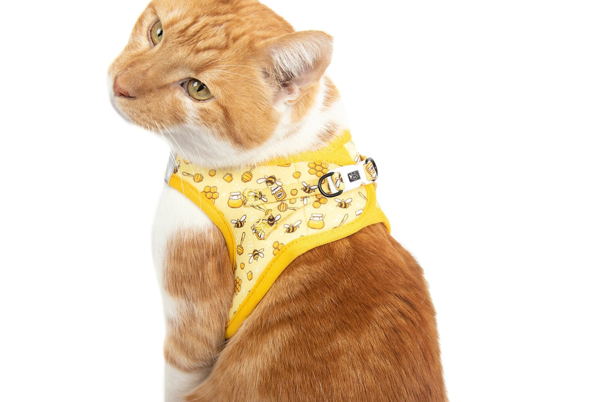 Bee hiving Cat Harness cat harness Little Kitty Co XS