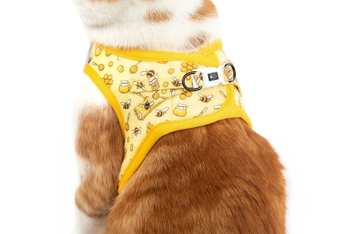 Bee hiving Cat Harness cat harness Little Kitty Co
