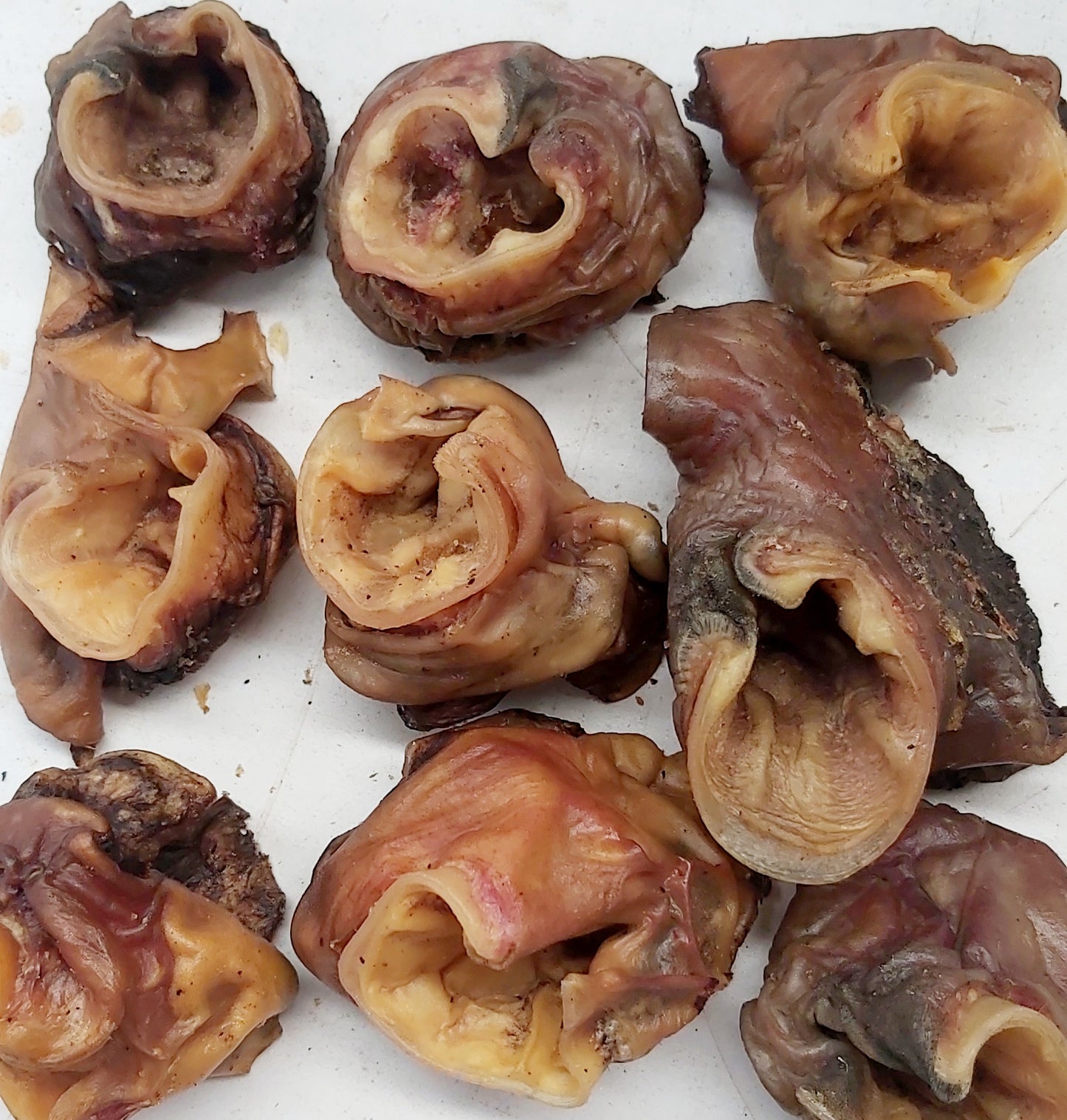 Beef ear scrolls Woofy and Whiskers