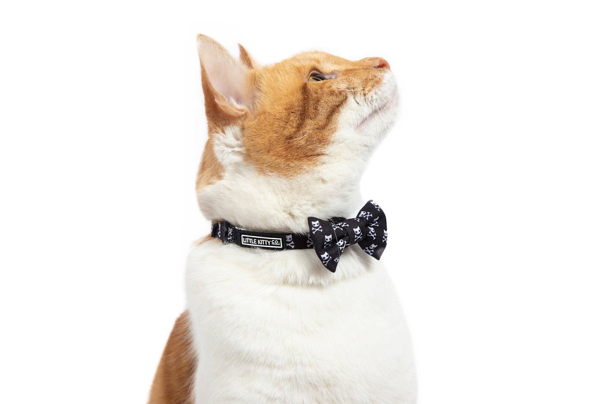 CAT COLLAR & BOW TIE: Baddest of them All Little Kitty Co.