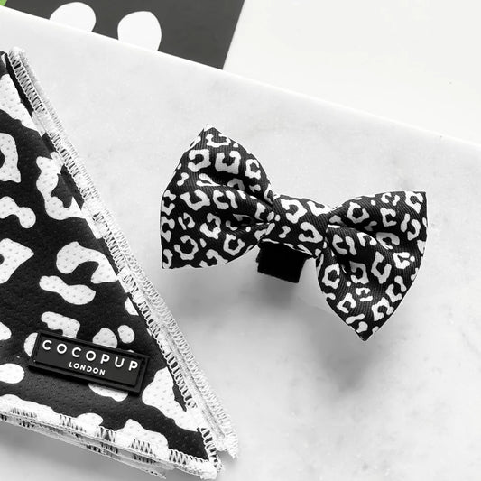 Cocopup London – Bow Tie – Black Leopard Dog Apparel bow tie Cocopup London