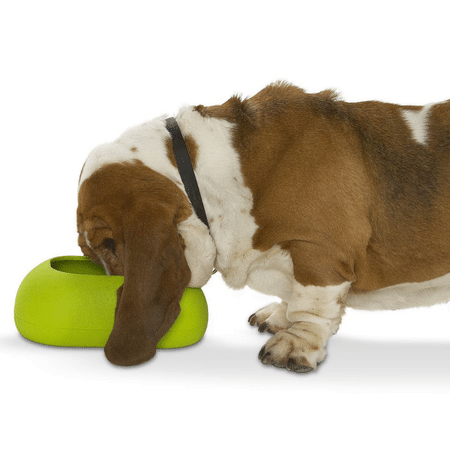 Buster IncrediBowl Wet and Dry Food Bowl for Long Eared Dogs - 2 Sizes Woofy and Whiskers
