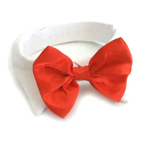 White Collar with Black Bow Tie Dog Dog Apparel bow tie doggie design XS Red