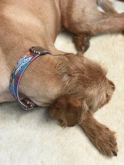 Outback tails Leather Dog Collar - Sand Dunes Dog Collar Outback Tails Small (S) Sand Dunes