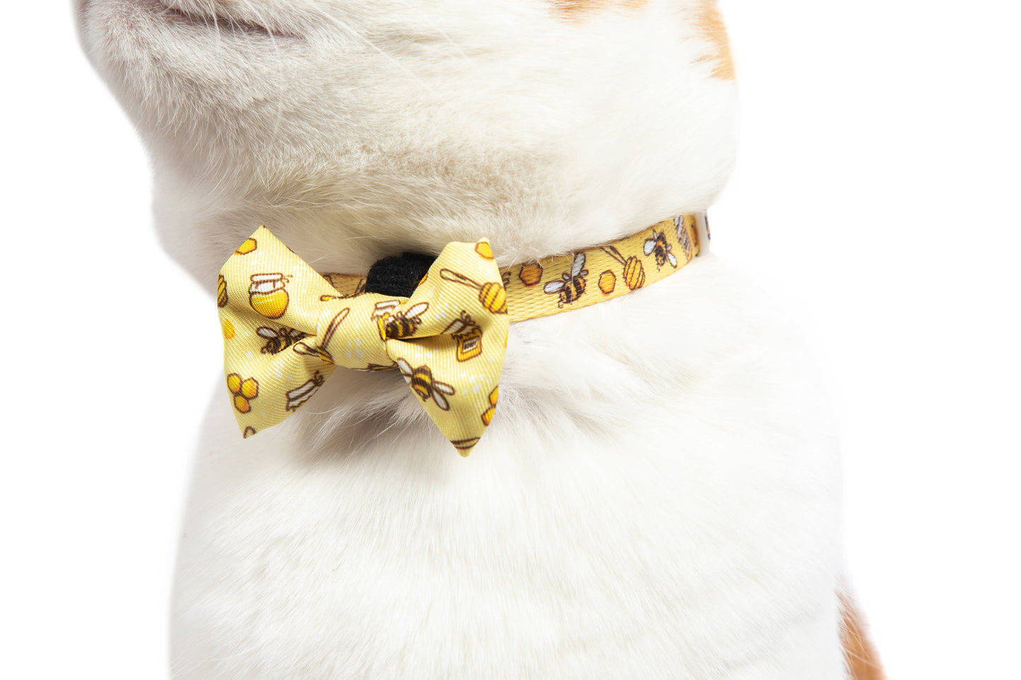 Little Kitty Co CAT COLLAR & BOW TIE: Bee-Hiving Little Kitty Co.