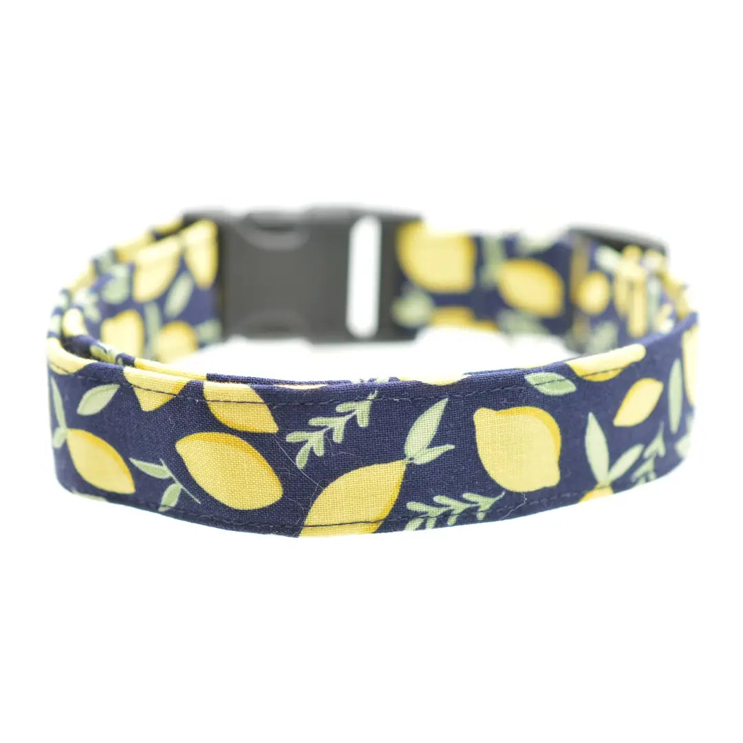 XL Dog Collar Dog Collar world Extra large (XL) Lemons
