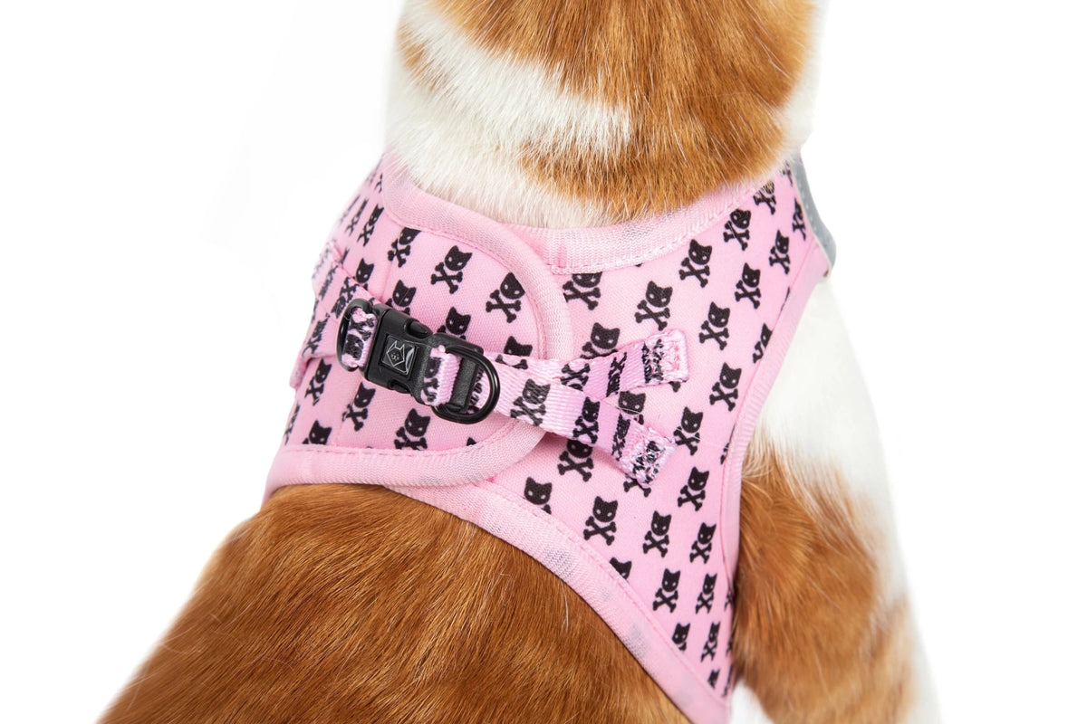 Cat Step in Harness: Prettiest of Them All cat harness Little Kitty Co XS