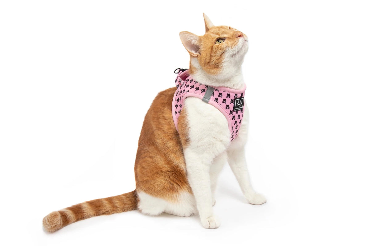 Cat Step in Harness: Prettiest of Them All cat harness Little Kitty Co Small