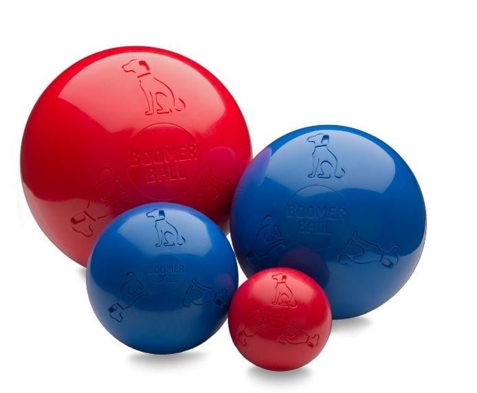 Company of Animals – Boomer Ball tough dog toys Company of Animals