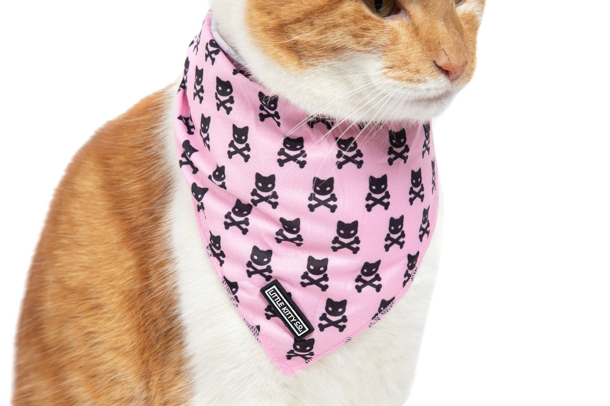 CAT BANDANA: Prettiest of them All Little Kitty Co. S