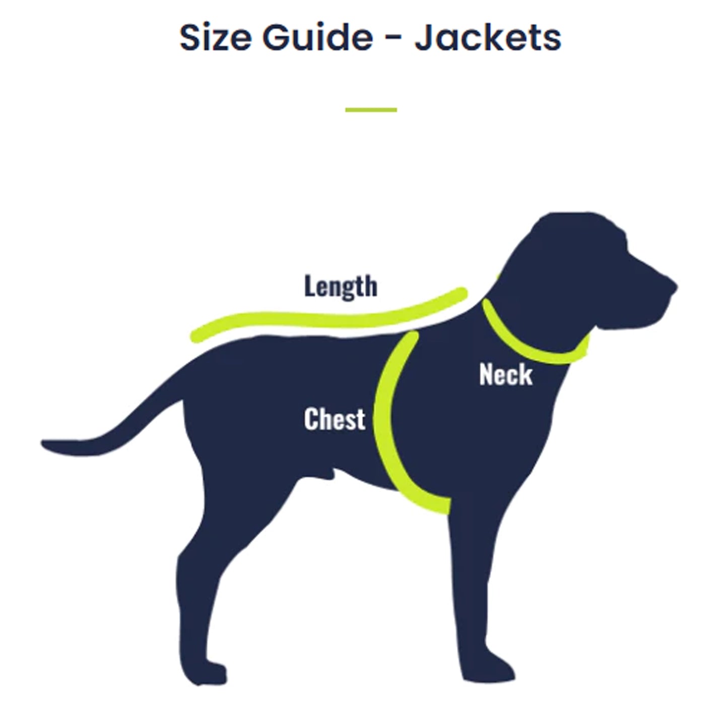 Dachy jacket Caramel delight Woofy and Whiskers