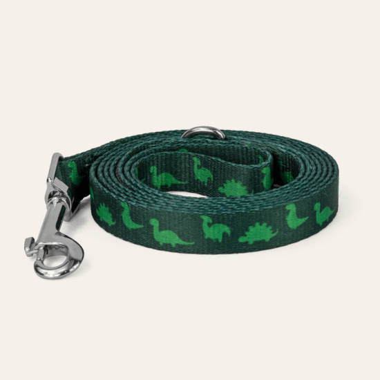 Dan & Sam Dinosaur Land Dog Harness - Small Dog Harness dan and sam Small Leash