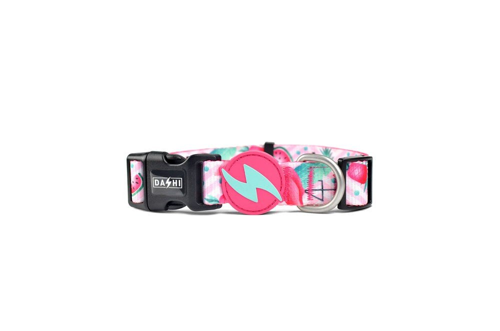 DASHI FLAMINGO NEO MESH Pet Collar & Harnesses DASHI XS Collar