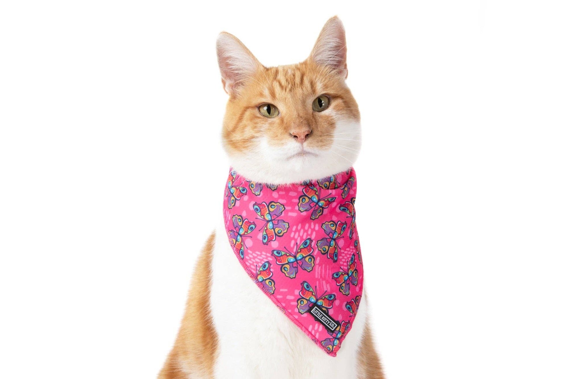Little Kitty Co CAT BANDANA: Flutterly Fab cat apparel Little Kitty Co. S