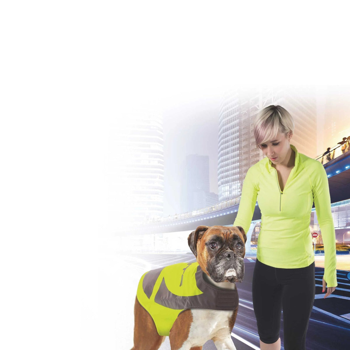 Dog Reflective Jacket Hi Vis Vest with Light Up Pendant Pet Safety Walking Coat Reflective Dog Apparel Woofy and Whiskers