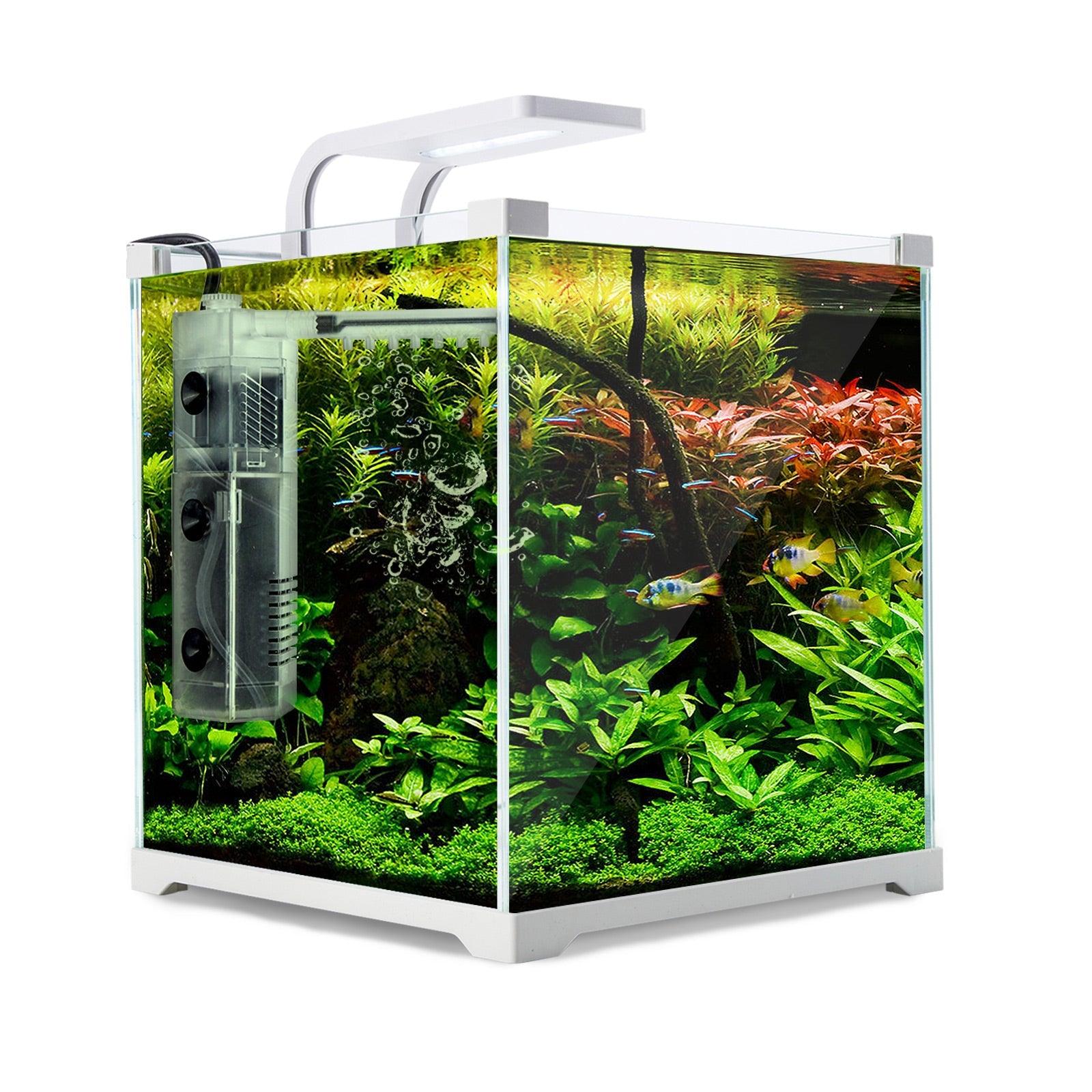 Dynamic Power Aquarium Fish Tank 16L Starfire Glass Pet Care > Aquarium Dynamic Power