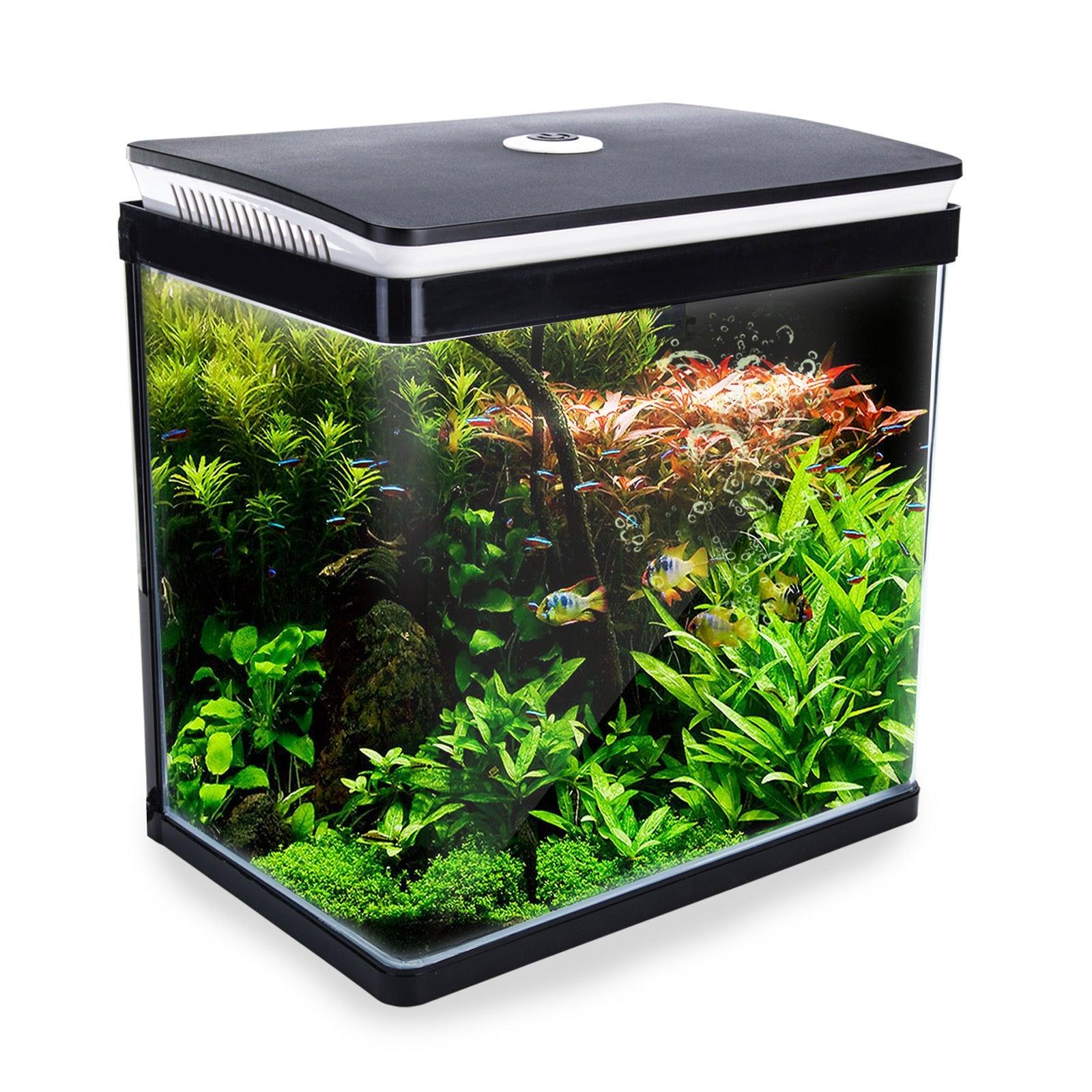 Dynamic Power Aquarium Fish Tank 30L Curved Glass RGB LED Pet Care > Aquarium Dynamic Power