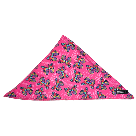 CAT BANDANA: Flutterly Fab cat apparel Little Kitty Co.
