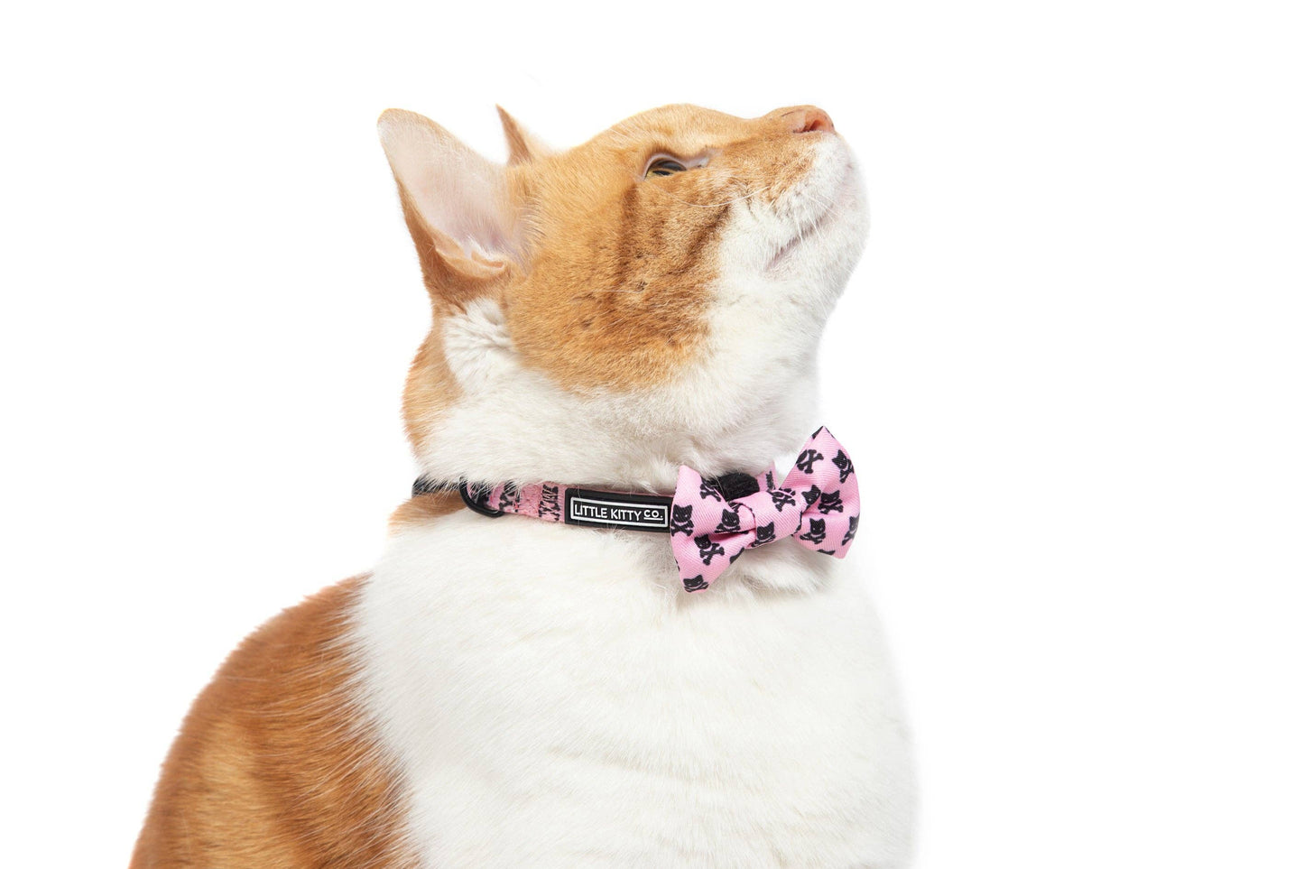 CAT COLLAR & BOW TIE: Prettiest of them All Little Kitty Co.