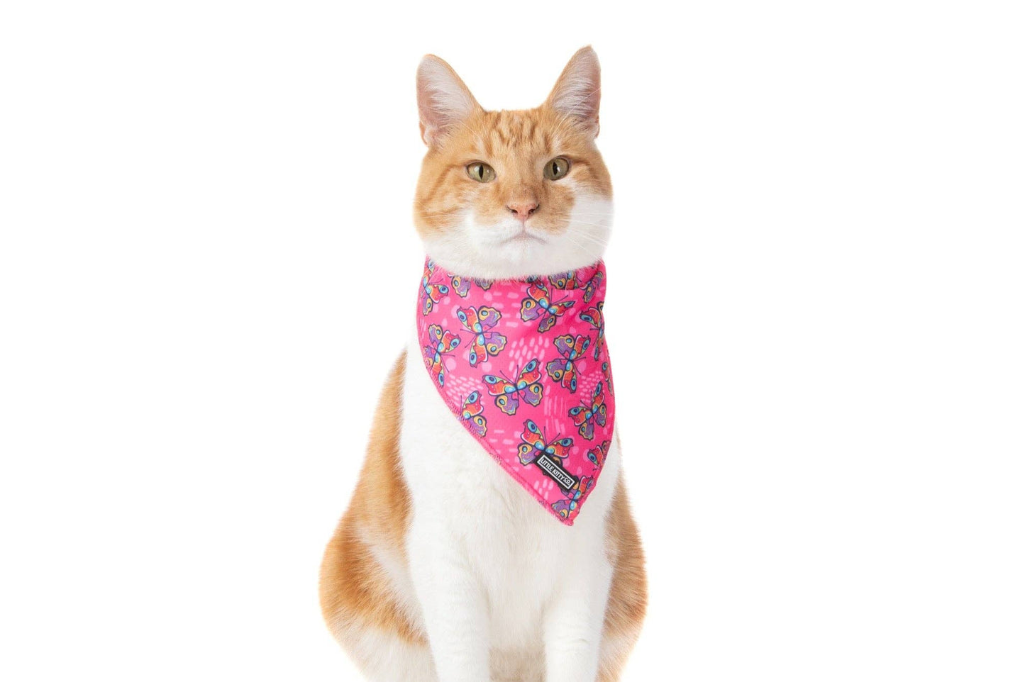 Little Kitty Co CAT BANDANA: Flutterly Fab cat apparel Little Kitty Co.
