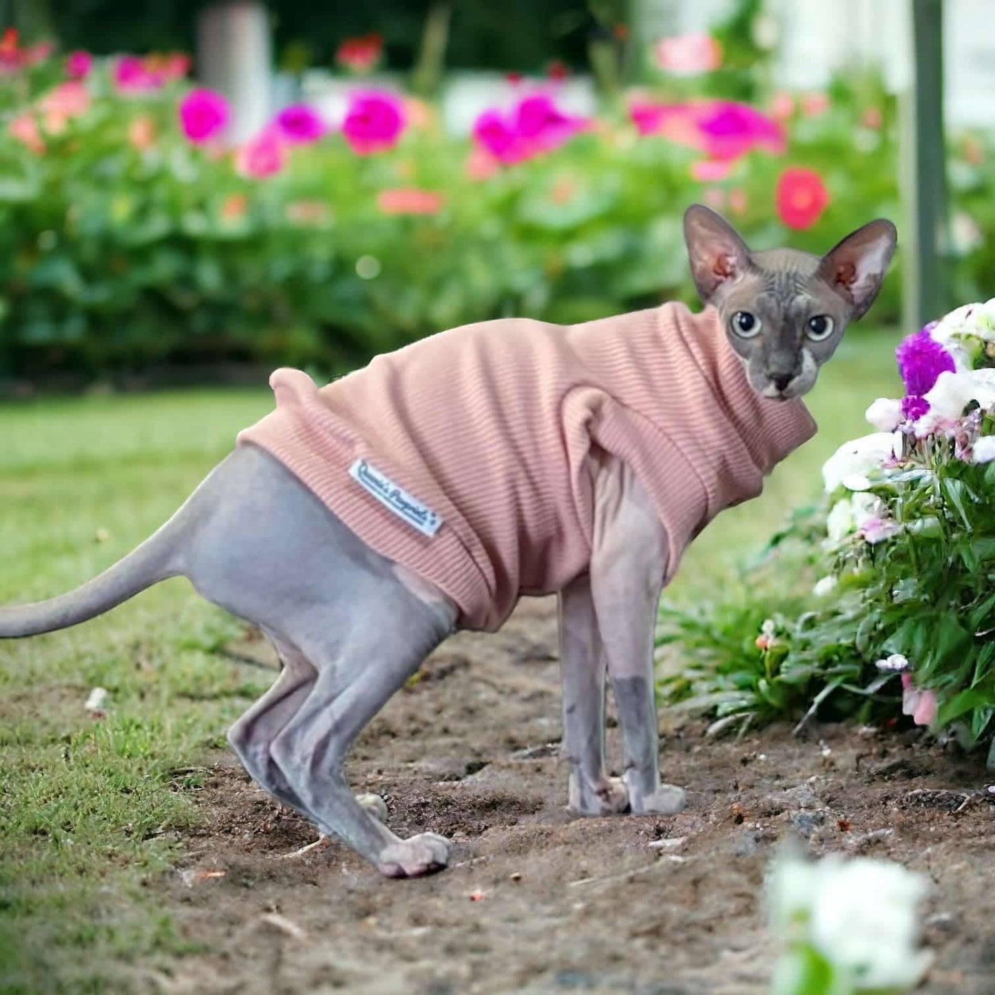 Cosy Feline Rib Knit Jumper - Mocha Queenie's Pawprints