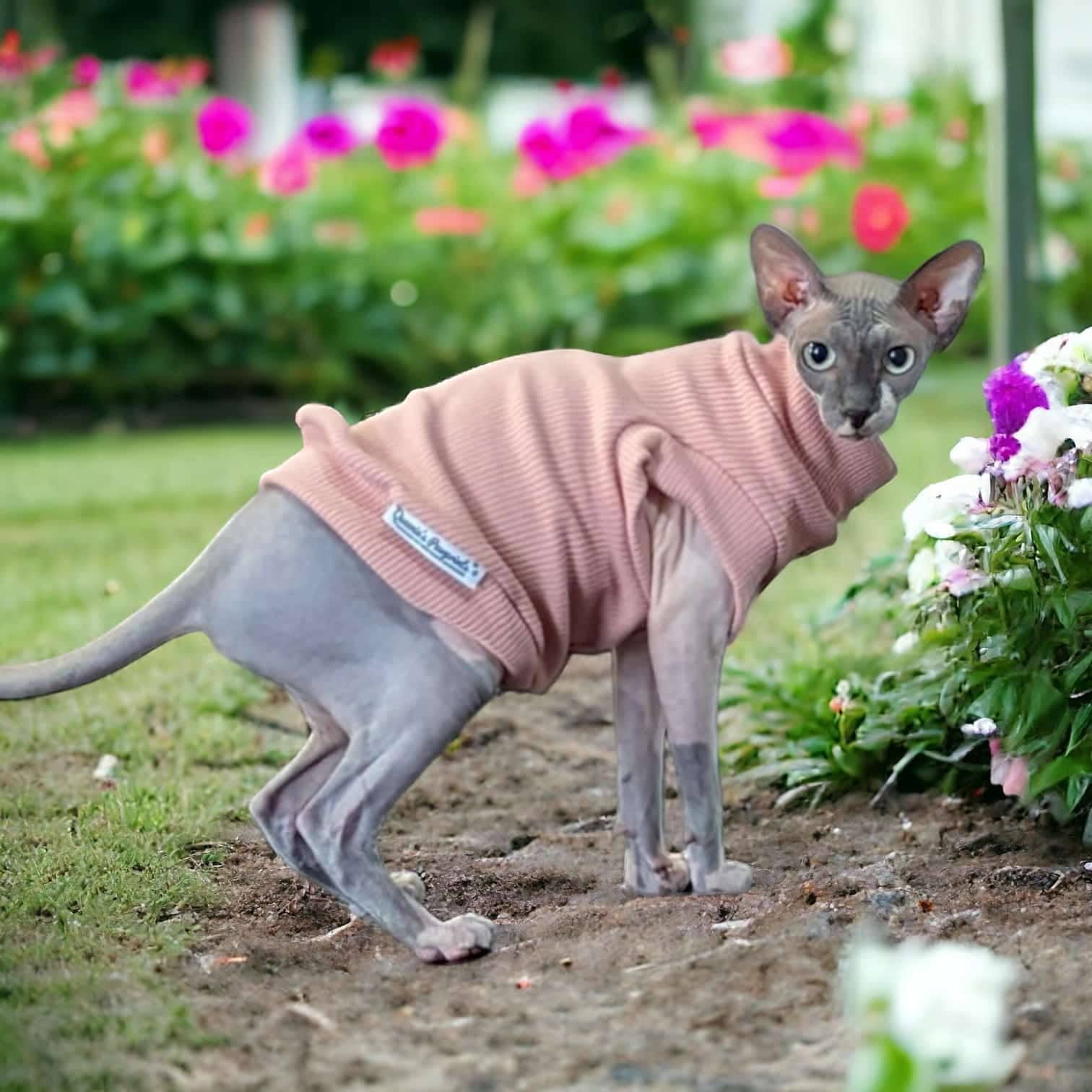Cosy Feline Rib Knit Jumper - Mocha Queenie's Pawprints