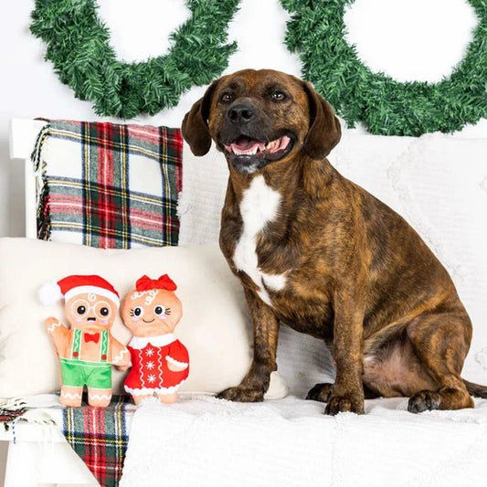 Fringe studio ginger Clause 2 pack plush dog toy Fringe Studio
